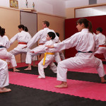 Wagner Karate Trainingseinblick